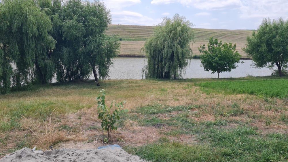 Balta peste, balta populata, luciu de apa