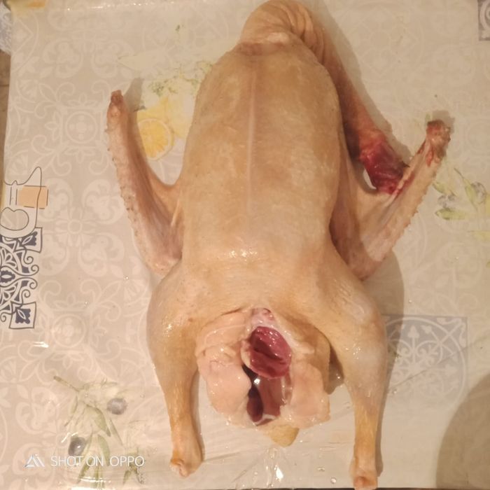 Продам домашних гусей