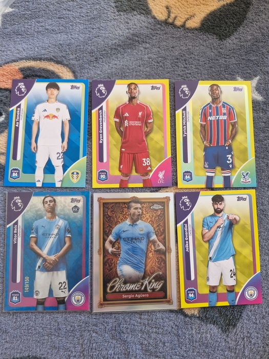 Topps Pl 2025/26