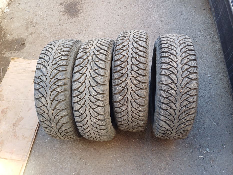 Кыстык донгелек жана ...