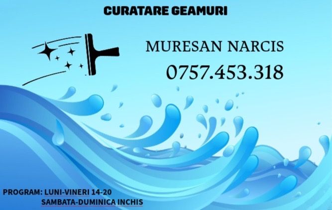 Spal geamuri la case in Reghin