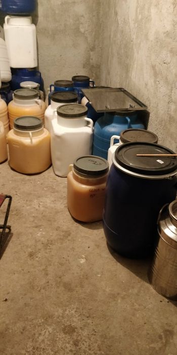 Vând miere de albine engross naturala garantat