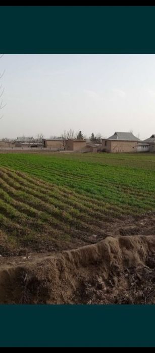 Yashash uchun yermaydoni 15sotix. 2ta xoʻjalikga bolʻsa ham boʻladi.