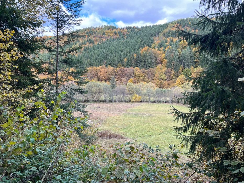 Teren de vânzare în Vărșag