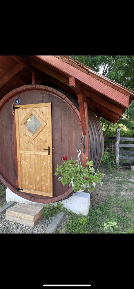 Proprietar vand casa si afacere pensiune