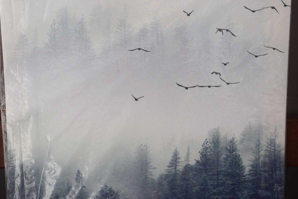 Три картини панно с гора и птици