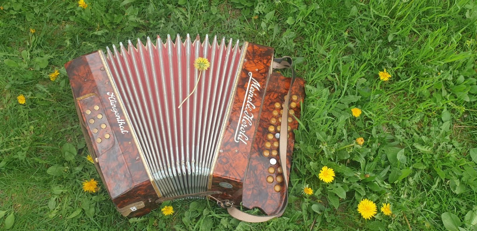 Armonica / acordeon Mainel & Herold