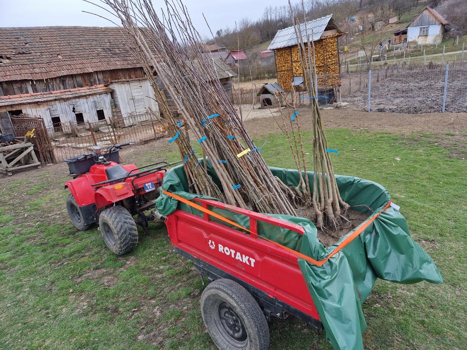 Atv în stare perfecta de functionare