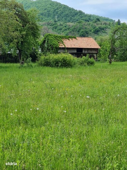 Teren splendid Vaduri cu utilitati si vecini de calitate