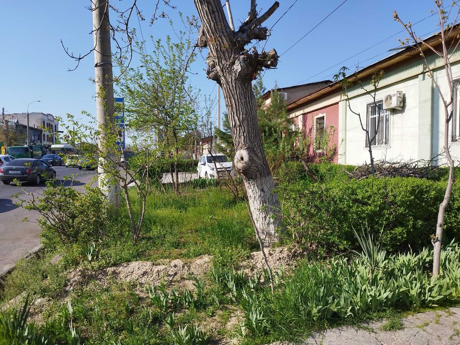 Учаскалар сотилади 2 та 3 сотикдан