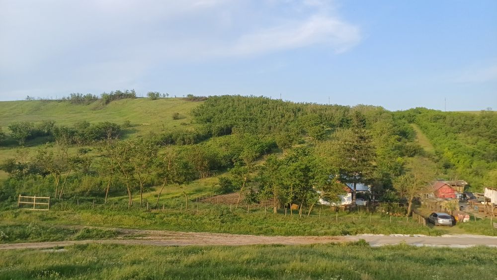 Casa cu teren 1 hectar în sat Roșcani, la 40 km de Iași.