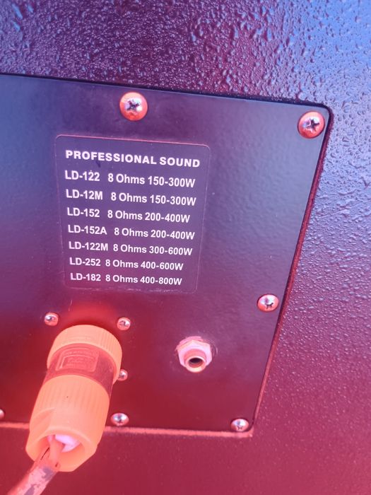 Vând o păreche de Boxe BMG prefesionale 800 de wați una la 8 omy pasiv