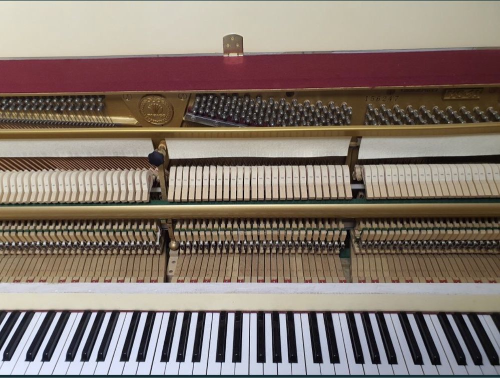 Pianina Daewoo Royal