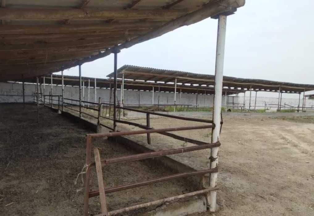 Ферма сотилади 14 гектар йери билан