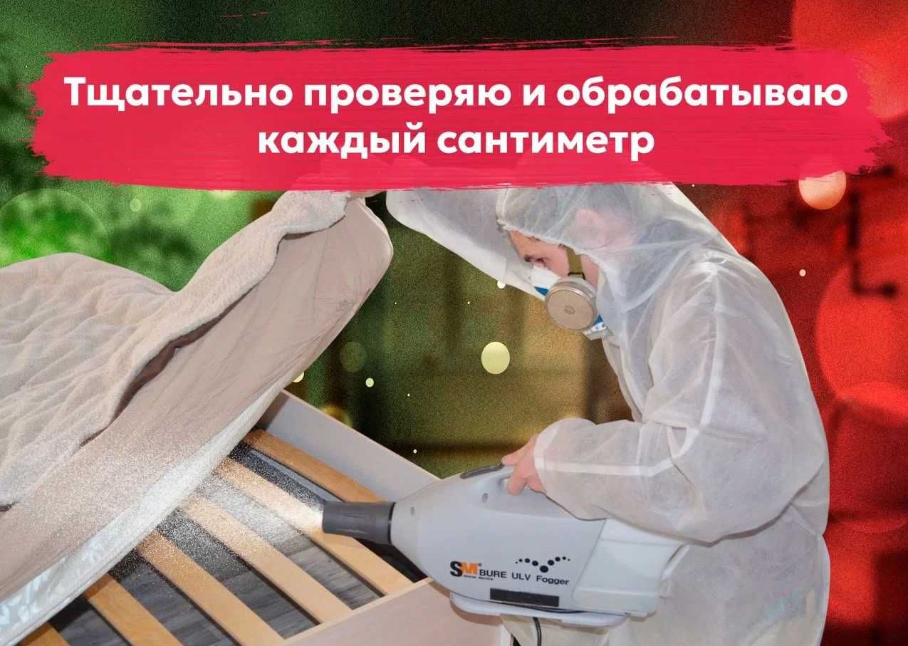 Dezinfeksiya Дезинфекция tarakan klop klapa burga chivin pashsha клоп