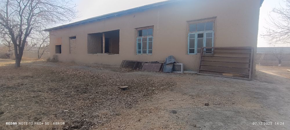 Navbaxor 29 sutiqlik xovli