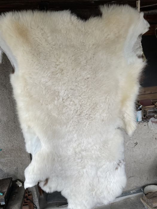 Агнешки кожи обработени