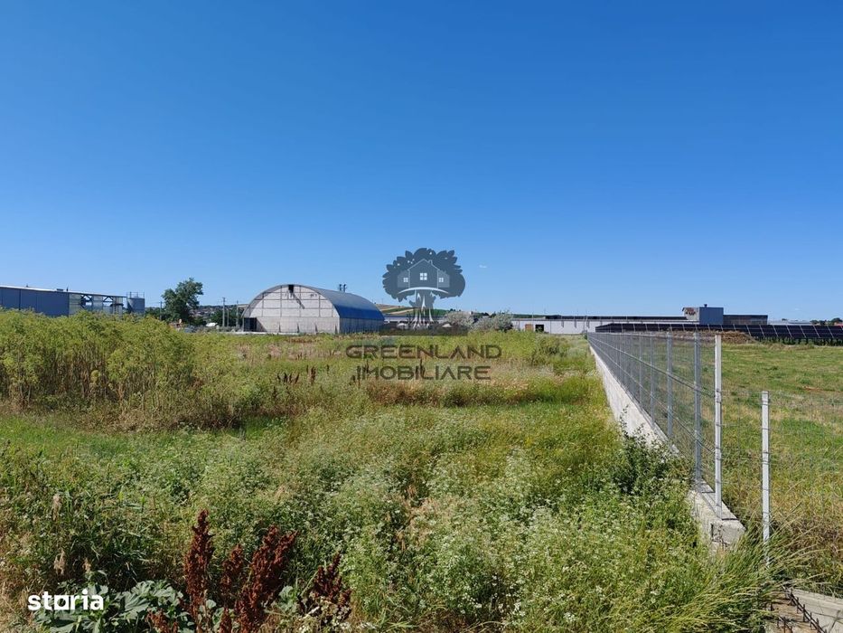 Teren intravilan INDUSTRIAL 5000mp - ideal pentru hale - Letcani