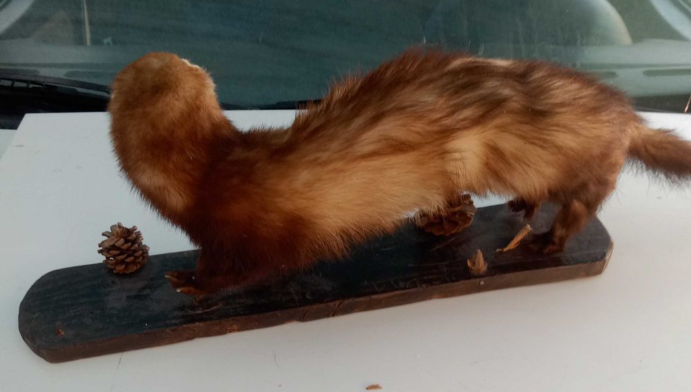 masina de scris , pix cu argint, radio Electronica, cass Panasonic