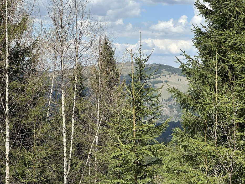 Teren Extravilan 6.651 mp