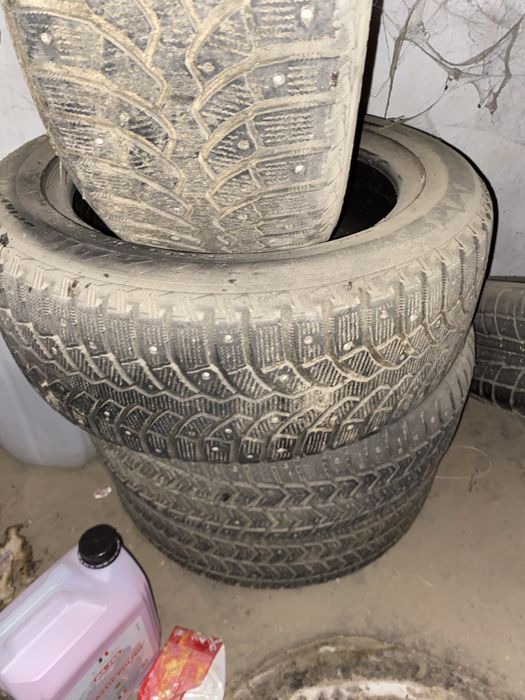 Балон жаксы шип пен жимной