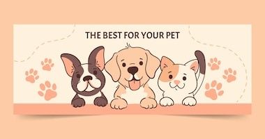 Pet sitter / Home sitter / Bona animale de companie la domiciliul dvs.