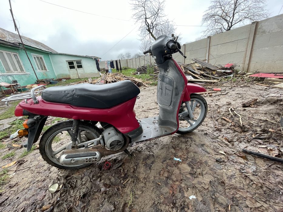 Vand honda SH 50cc