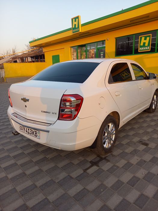 Коблыт сотыладии