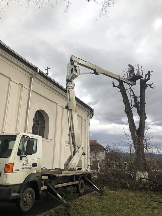 Toaletari arbori , taieri copaci periculosi , defriseri cu Nacela
