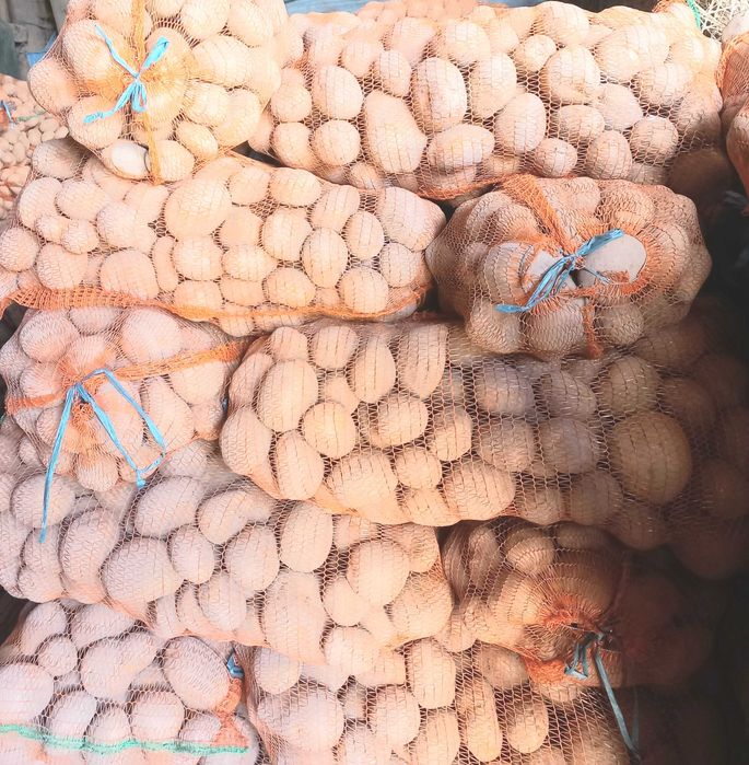 Cartofi consum carera și paradiso