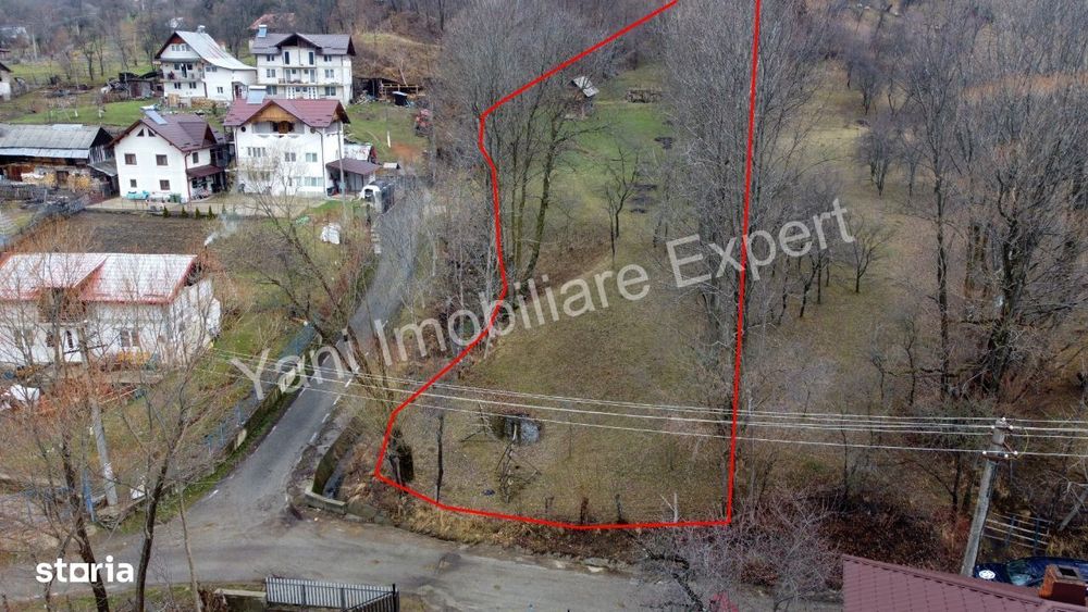 Teren de vânzare în comuna Arefu, județ Argeș ( Transfăgărășan )