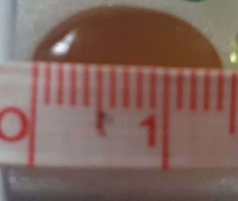 Колиета от Балтийски Кехлибар дълж.64 см