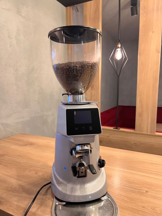 Râșniță de cafea Fiorenzato F64 EVO