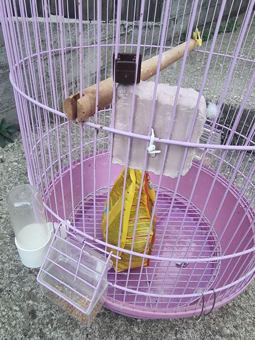 Colivie pentru papagali/pasari, 70x45cm