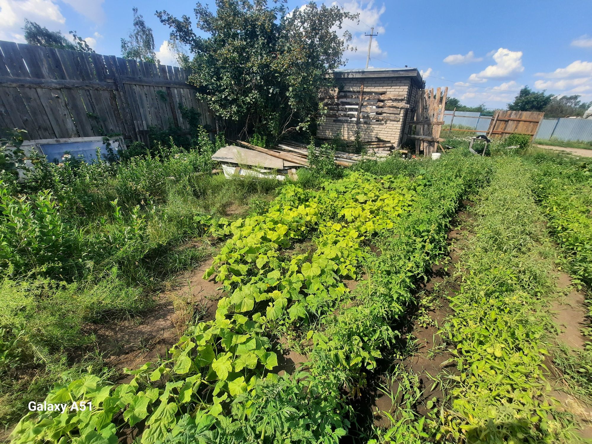 Продам дачу 10 соток земли со автомобилист