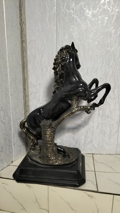 Кора байр холати идеал