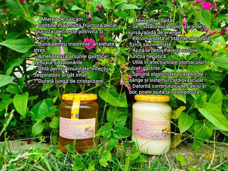 Miere salcâm, rapiță și poliflora