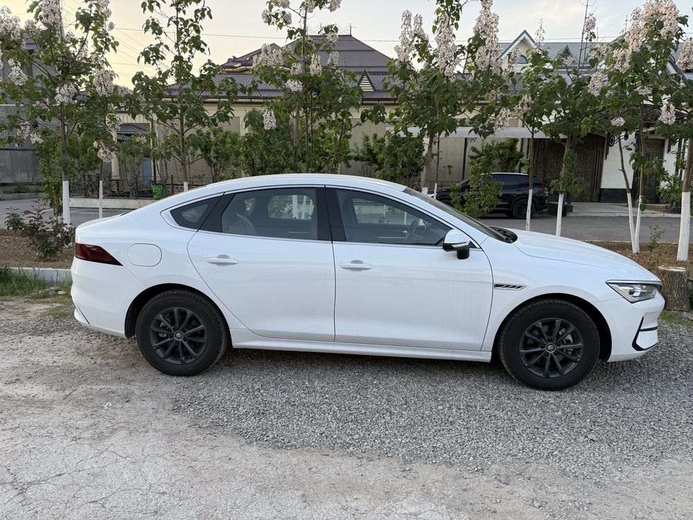 BYD Qin Plus (510km)