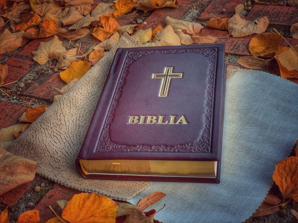Biblia format mediu legată in piele naturală și husă