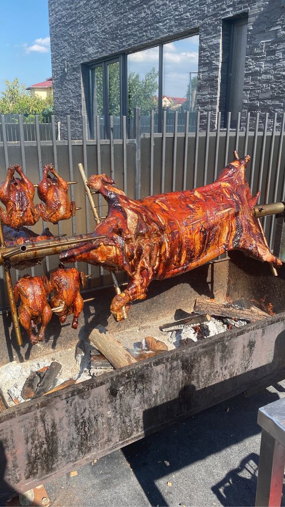 Protap de porc, vitel, berbecut, oaie, pui, curcani