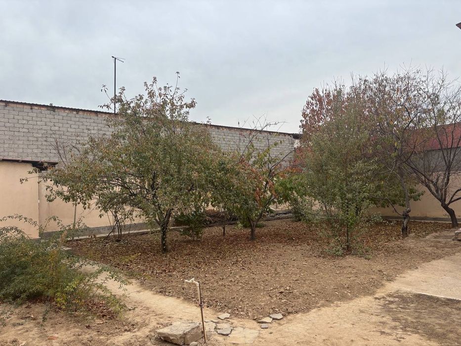 Uchastka sotiladi toshkent tumani