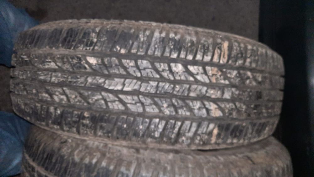 Пакришка 16 17лик