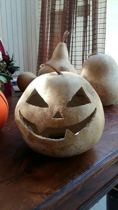 Тыква Qovoq Pumpkin
