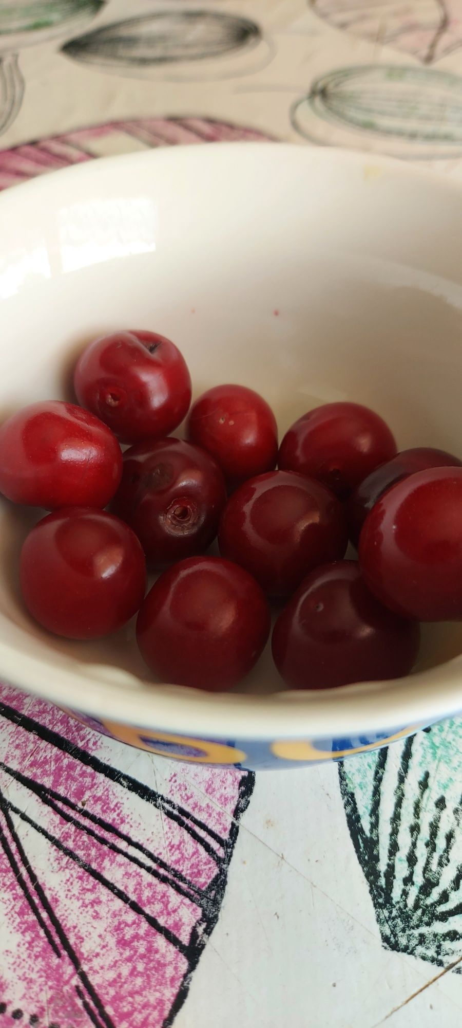 Продам вишню домашнюю