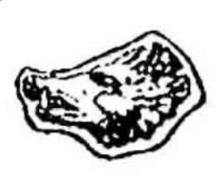 Inel cu intitale/signet ring din sec 19