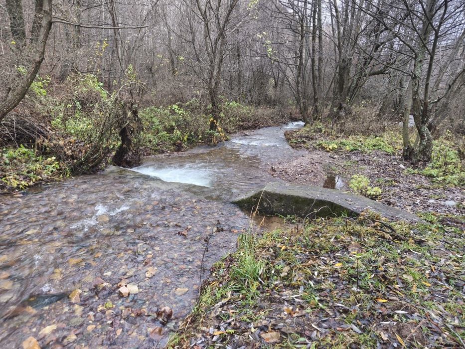 След извора на Струма над Боснек - продавам имот 2,5 дка