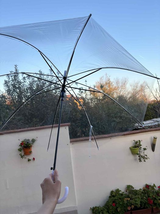 Прозрачни чадъри