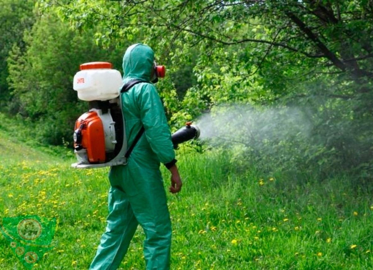 Уничтожение насекомых. Фумигация растений. Обработка деревьев, сада.
