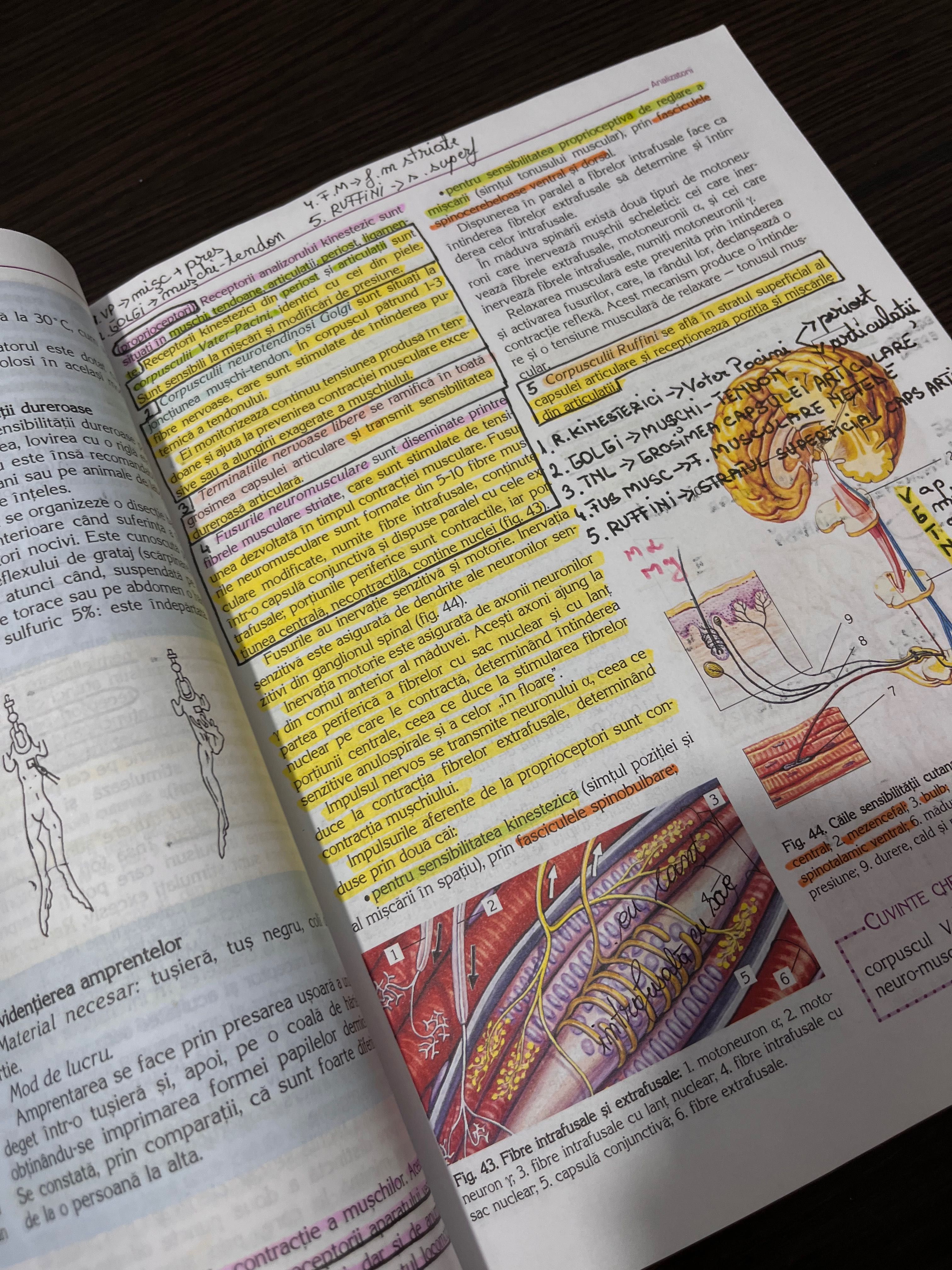 Manual biologie pentru clasa a XI -a