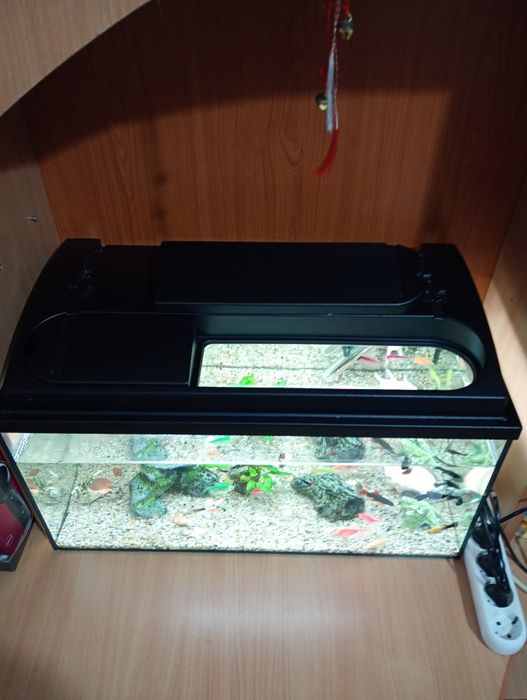 Acvariu cu pești 60 l complet